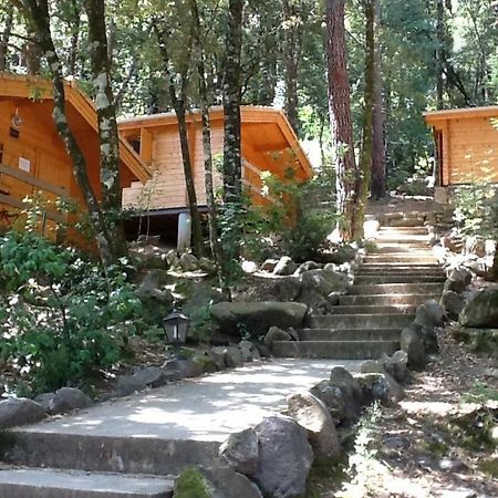 Auberge De La Foret Bonifatu Calenzana Exterior foto